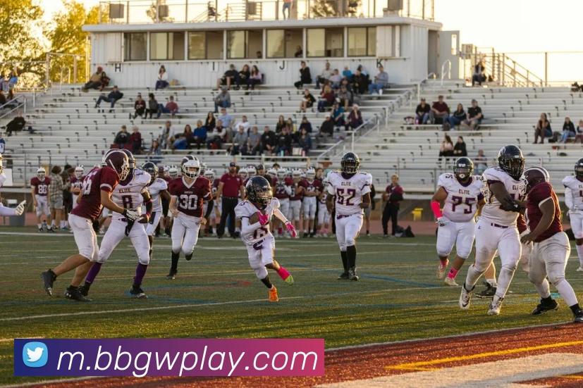 App Interface Preview