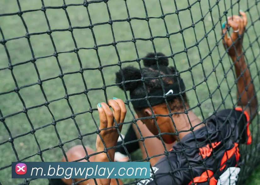 BB体育APP 封面图